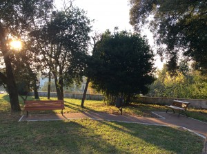 Villa Fiorita - parco